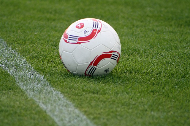 帥的揚科維 帥的揚科維