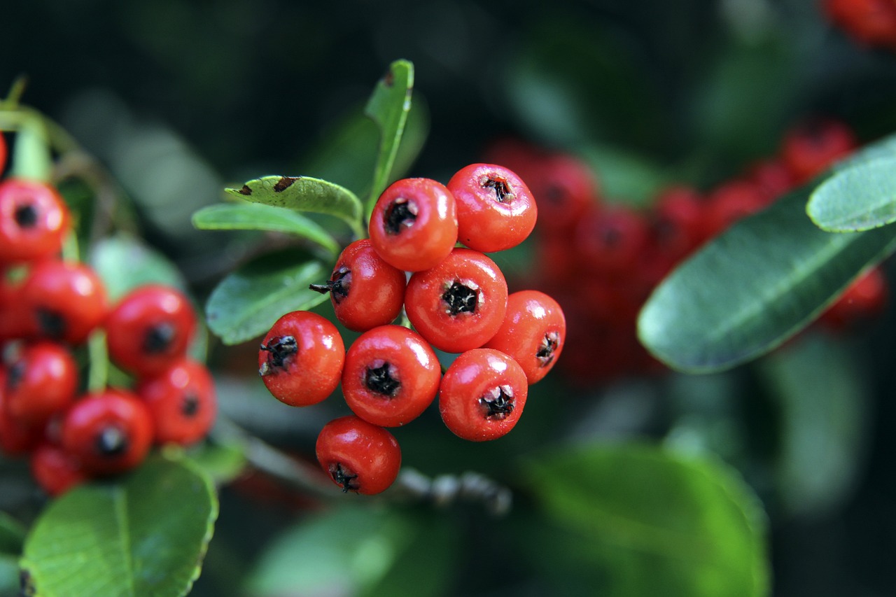 度凸顯了波 度凸顯了波