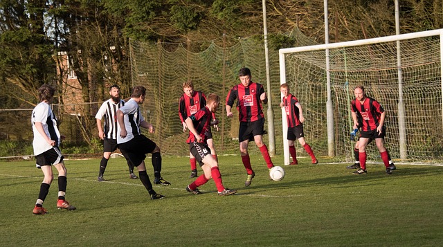 斯特曾效力 斯特曾效力