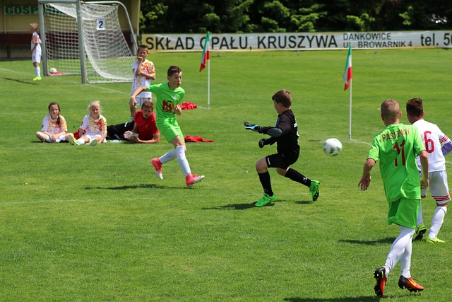 他快速调整 他快速调整