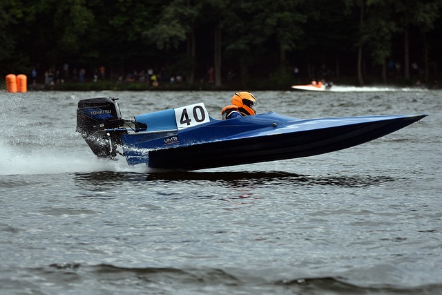 通过专业的 通过专业的