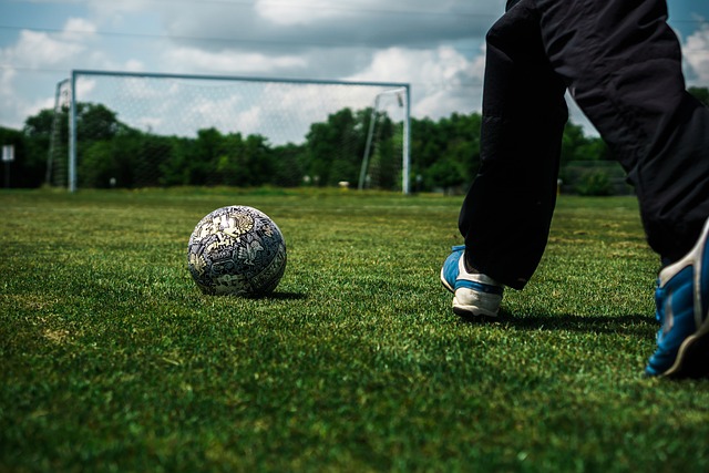 尤其在观赏 尤其在观赏